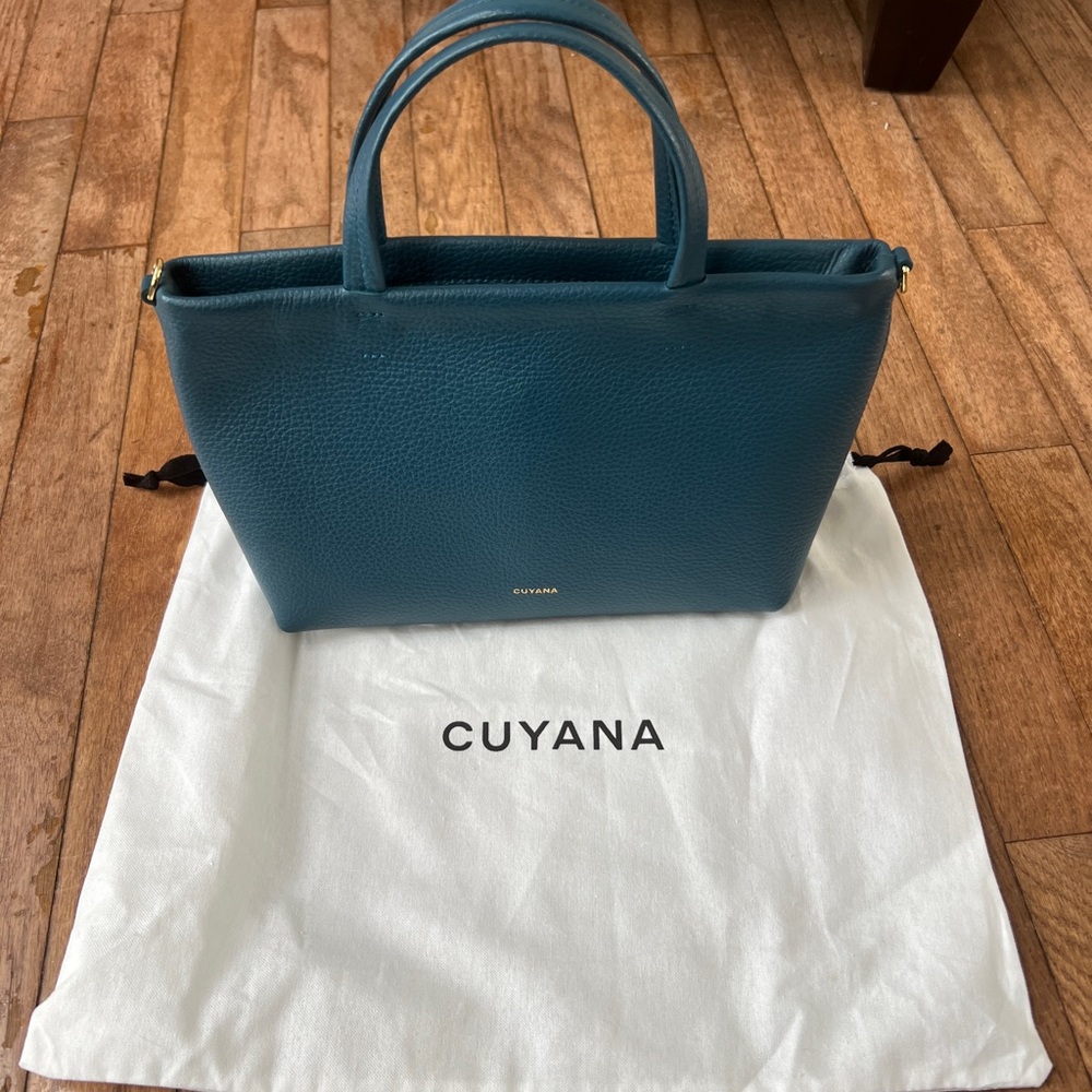 Cuyana Jade hand or crossbody bag, NWT
